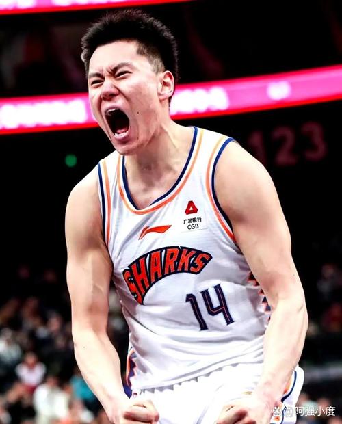 CBA小前锋的代表人物：那个空中飞人，独树一帜的战神！