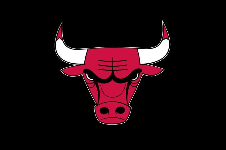 nba公牛的英文，公牛英文翻译？