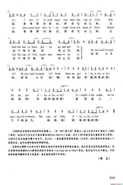世界杯主题曲叫什么名字2022年，世界杯主题曲叫什么名字2022年的
